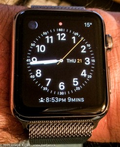 Apple Watch Stainless Steel with Milanese Loop on my wrist